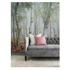 Фотообои Fotooboikin "Березки" 300х270