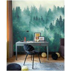 Фотообои 3 д Fotooboikin "Туманный лес " 400х270