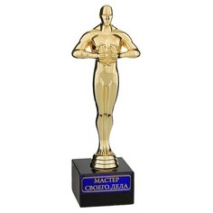 Статуэтка наградная Yiwu Youda Import and Export Мастер своего дела 491671, 18 см золотистый/черный