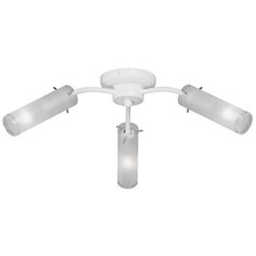 Потолочная люстра Vitaluce V3863/3PL