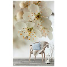 F18902 Фотообои Флизелиновые с виниловым покрытием, "Цветы" 200 x 270 см Barton Wallpapers