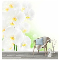 F16403 Фотообои Флизелиновые с виниловым покрытием, "Цветы" 300 x 270 см Barton Wallpapers