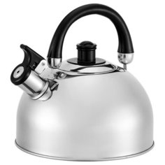 Чайник Webber BE-0527 3.5L