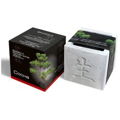 Растение ЭкоДом Вырасти Бонсай дома Сосна В дизайнерском кубике ручной работы