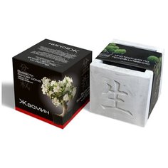 Растение ЭкоДом Вырасти Бонсай дома Жасмин В дизайнерском кубике ручной работы