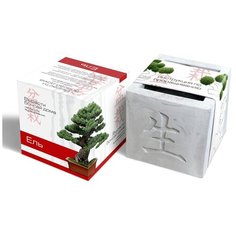 Растение ЭкоДом Вырасти Бонсай дома Ель В дизайнерском кубике ручной работы