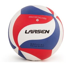 Мяч волейбольный Larsen VB-ECE-5000B
