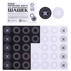Шашки Десятое Королевство магнитные, демонстрационные (3902)