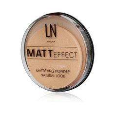 LN-professional Компактная матирующая пудра Matt Effect 102