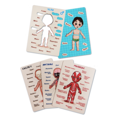 Магнитная детская настольная развивающая игра-пазл "Как устроен человек - тело, скелет, анатомия" для мальчика - Notta & Belle