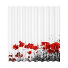 Штора для ванной WasserKRAFT Main SC-47101