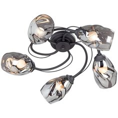 Потолочная люстра Vitaluce V4937-1/5PL