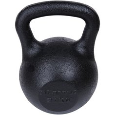 Гиря цельнолитая Larsen NT170C 24 кг (629)