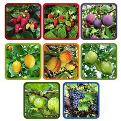 Прихватка "Ягоды-фрукты" (Фото) 8 диз МультиДом