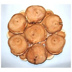 Подставка большая из можжевельника Wood Fun