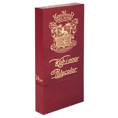 KOH-I-NOOR Цветные карандаши Polycolor Retro 3824, 24 цвета (3824024020TK)