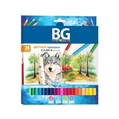 Карандаши цветные "Forester", 24 цвета BG®