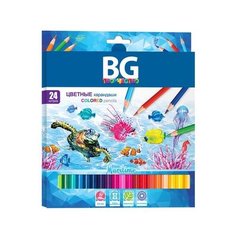 Карандаши цветные "Maritime", 24 цвета BG®