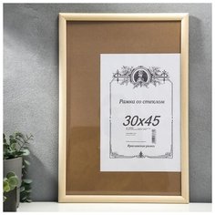 Фоторамка некрашеная 2/3 30х45 см 3978765 Сима ленд