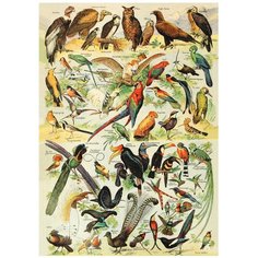 Постер № 31 ДАРИНЧИ