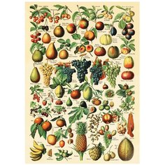 Постер № 30 ДАРИНЧИ