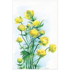 Постер Даринчи А4 №03