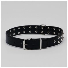 Ошейник Пижон клепаный в 2 ряда, 65,5*3,4 см, черный