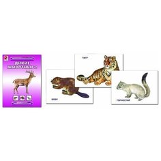 Обучающая игра Радуга. Дикие животные 2. Демонстрационный материал.
