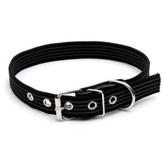 Ошейник Пижон однослойный, капрон, фастекс с замком, 65*2,5 см, ОШ до 60 см, черный