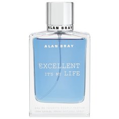 Туалетная вода Alan Bray Exlellent pour Homme, 100 мл