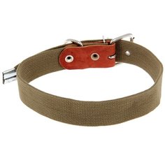 Ошейник Пижон 1613448, длина ошейника 73 см зелeный