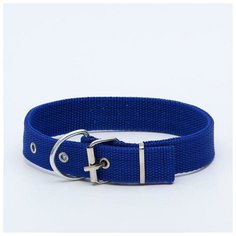 Ошейник клепаный, 45 х 2,5 см, полиэстер, синий Пижон
