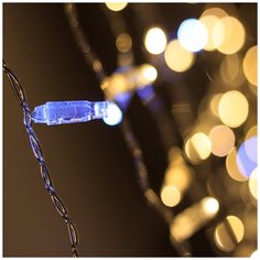 Светодиодная гирлянда ARD-CURTAIN-CLASSIC-2000x3000-CLEAR-760LED-BLINK Warm-White (230V, 60W) (Ardecoled, IP65) Arlight
