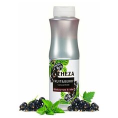 "Концентрат для напитков 1 кг, Черная смородина-Мята" Richeza