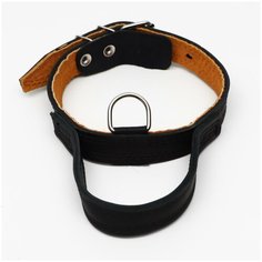 Ошейник кожаный тройной, с ручкой, 57 х 2.5 см, ОШ 35-45 см, чёрныё Пижон