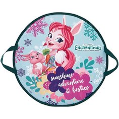 Ледянка 1 TOY Enchantimals (Т16408) голубой