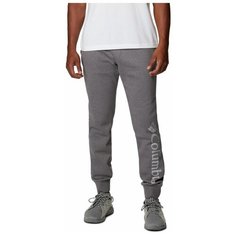 Брюки Columbia M CSC Log Fleece Jogger II, размер XL, grey