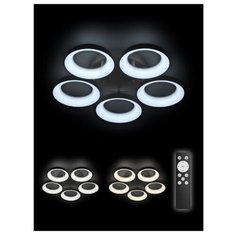 Светодиодная диммируемая люстра VERONA 80W Ritter