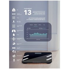 Умные диагностические напольные весы Swiss Diamond SD-SC001, чёрные