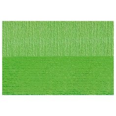 Пряжа для вязания ПЕХ Вискоза натуральная (100% вискоза) 5х100г/400м цв.065 экзотика Пехорка ПЕХ.ВН.065