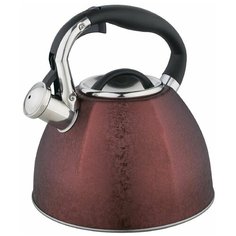Чайник ZEIDAN Z-4216 бордо