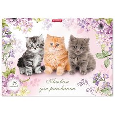 Альбом ErichKrause Мурзики, клеевое скрепление 29.7 х 21 см (A4), 120 г/м², 20 л.