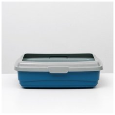 Лоток с сеткой и бортиком Atlantis Plast большой, "Стандарт", 43*33*12,5 см, синий Атлантис Пласт