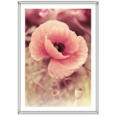 Фоторамка Veld co 7906 пластиковая 15Х21