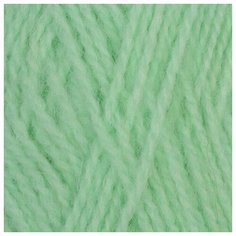 Пряжа для вязания ПЕХ Ангорская тёплая (40% шерсть, 60% акрил) 5х100г/480м цв.411 мята Пехорка ПЕХ.АНГ.Т.411