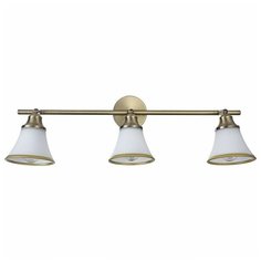 Спот FREYA Jasinta FR2272-CW-03-BS, 120 Вт, 3 лампы