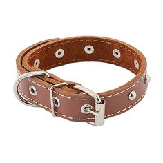 Ошейник Homepet 51420, обхват шеи 32-42 см коричневый