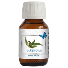 Эфирное масло Venta аромат Эвкалиптовый для увлажнителя воздуха