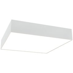 Потолочный светильник Maytoni Technical Zon C067CL-L40W3K
