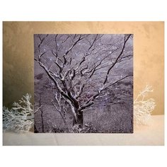 Светодиодное оптоволоконное настенное панно снежное дерево, LED-огни, фиброволокно, 40х40 см, Peha Magic